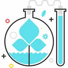 Biology Chemistry Cio Leaf Science