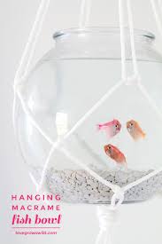 Hanging Macrame Fish Bowl Love Grows Wild
