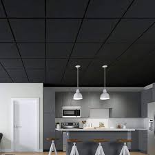 Black 2 Ft X 2 Ft Decorative Pvc Drop Ceiling Tile 48 Sq Ft Box