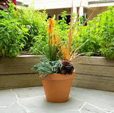 Terracotta Garden Pot Classic 190mm