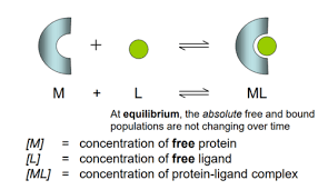 Protein Ligand Binding Flashcards