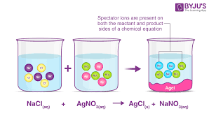 Net Ionic Equation
