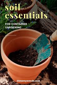 Soil Essentials For Container Gardening