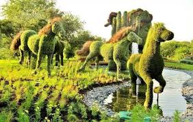 Garden Art Sculptures Topiary Garden