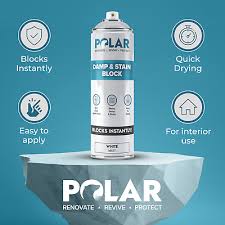 Polar Damp Stain Block Spray Paint