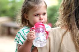 The Sippy Cup Smackdown Lucie S List