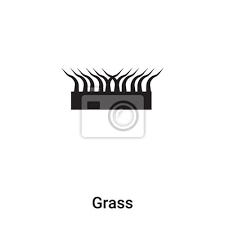 Grass Icon Vector Isolated On White