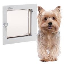 Pet Door Installed Dog Doors