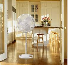 Lasko Oscillating Pedestal Fan 16 In