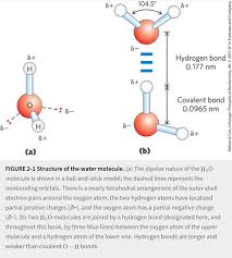 Biochem Chapter 2 Water The Solvent