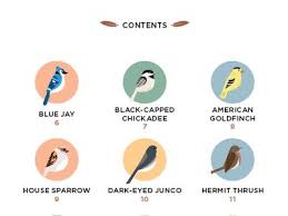 Birds Of Brooklyn Field Guide
