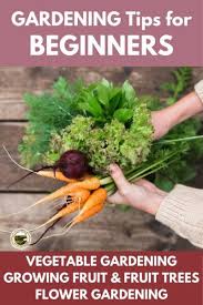 Top Gardening Tips For Beginners