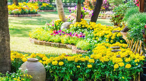 Best Worst Grass Types For Utah Lawns