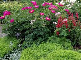 30 Elegant English Garden Designs And Ideas