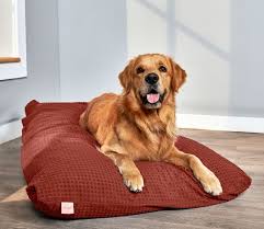 Dog Beds Buy Small To Large Size Bed
