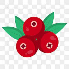 Cranberry Vector Png Vector Psd And
