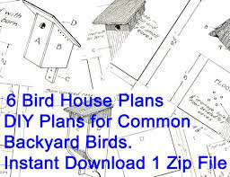 Instant Bird House Plans For 6
