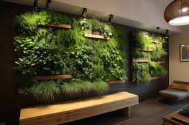 Hydroponic Vertical Garden In Modern