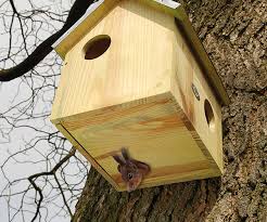 Esschert Design Squirrel House At