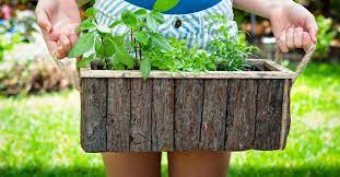 Easy Container Gardening Tips For