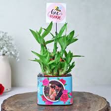 Customised Plant Pot Up To 50 Off