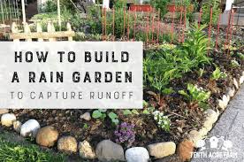 Rain Garden To Capture Runoff