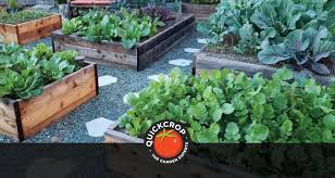 Vegan Vegetable Gardening