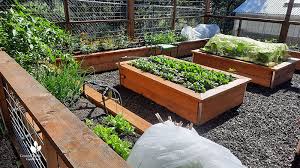 Enclosed Raised Bed Garden Design