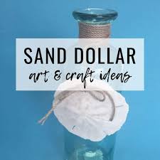 13 Sand Dollar Art And Craft Ideas