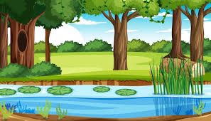 Forest Pond Images Free On