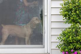 Torn Window Or Patio Door Screen