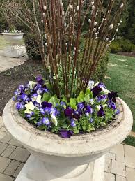 Spring Container Planting Deborah