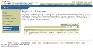 enterprise manager security