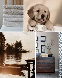 Color Of The Month Adobe Sand