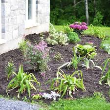Planting A Low Maintenance Flower Bed