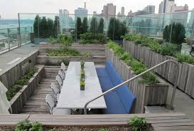 An Edible Garden On A City Roof