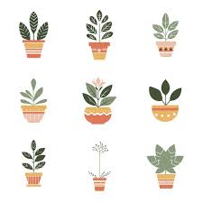 Succulents Vector Images Depositphotos