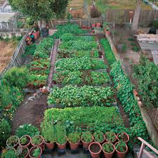 A Mini Farm In San Francisco Fine