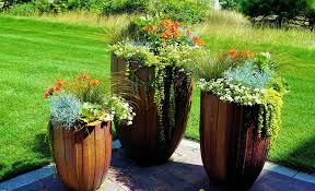 5 Sensational Large Planter Ideas