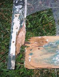 Wood Window Restoration Repair