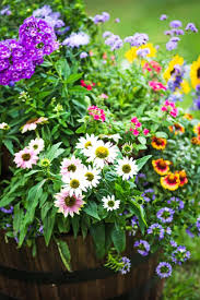 50 Can T Miss Container Gardening Ideas