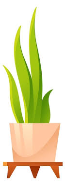 Houseplant Icon Cartoon Green Plant In