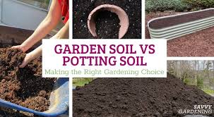 Garden Soil Vs Potting Soil Learn The