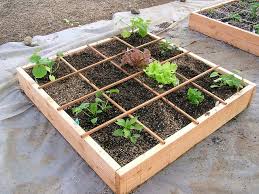 Building A Square Foot Garden Ii