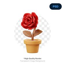 Rose Flower 3d Icon Premium Psd
