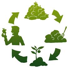 Intro To Home Composting Ucrra