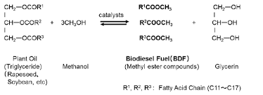 Plant Oil For Biodiesel