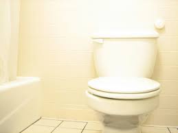 How To Replace A Toilet Cistern