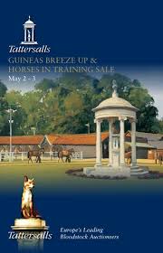 Guineas Breeze Up Horses In Training