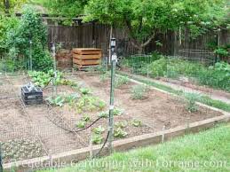 Vegetable Garden Layout